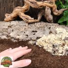 JBL Terra Basis - 5 L