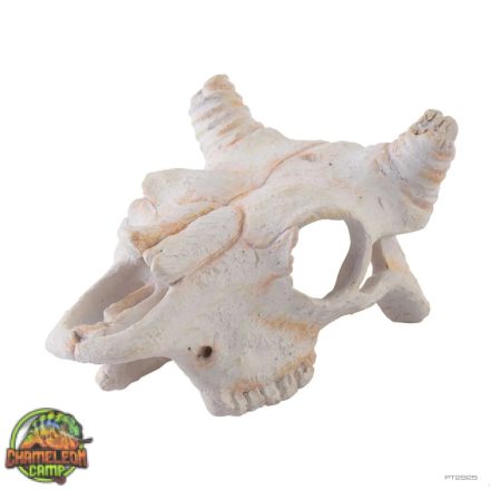 Hagen Exo Terra Buffalo Skull - bivaly koponya formájú búvóhely terráriumokba