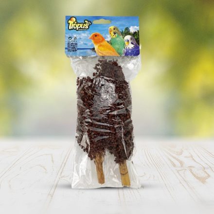 Trópus szálas mézcirok - madarak számára