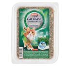 Panzi macskafű - 75 g