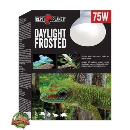 Repti Planet - Daylight frosted melegítő izzó - 75W
