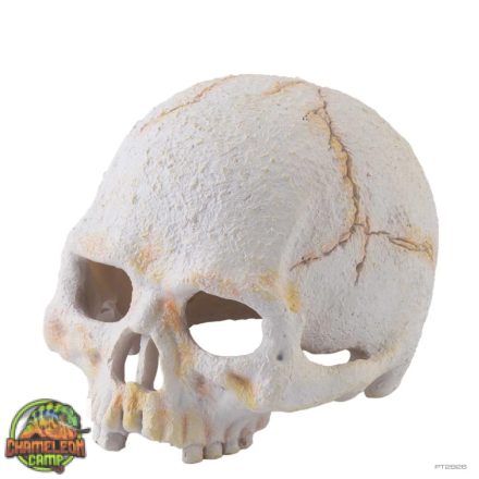 Hagen Exo Terra Primate Skull - koponya formájú búvóhely terráriumokba