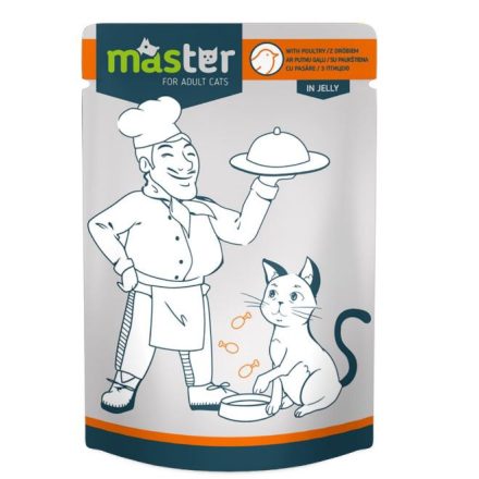 MASTER alutasakos macskaeledel - szárnyas - 80g
