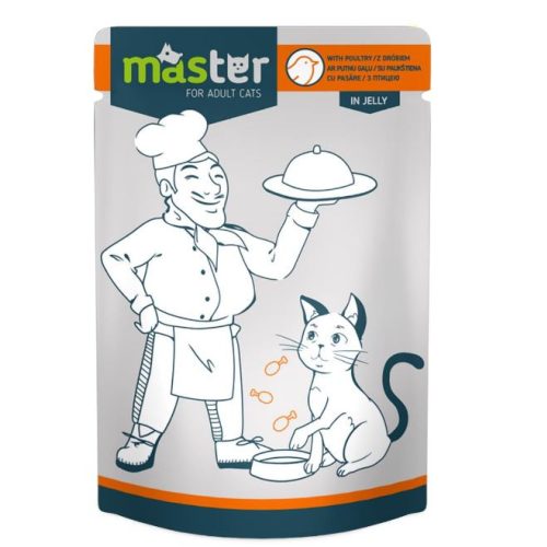 MASTER alutasakos macskaeledel - szárnyas - 80g