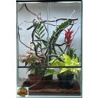 Kaméleon terrárium 40x40x60 cm háttér nélküli, berendezett - 96 liter