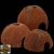 Repti Planet Coconut shell - kókuszhéj ház (L)- terráriumi állatok részére