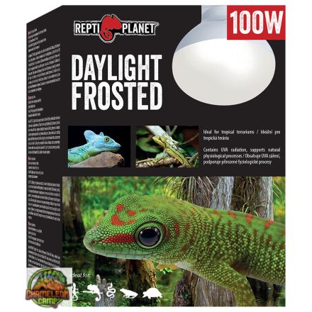 Repti Planet - Daylight frosted melegítő izzó - 100W