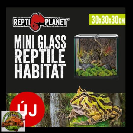 Repti Planet mini Glass Reptile Habitat - üveg terrárium  (20x20x30cm)